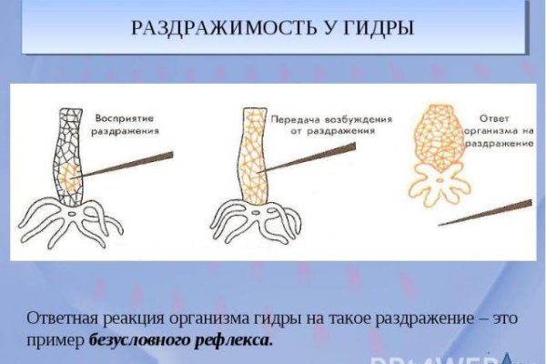 Kraken 15 at сайт