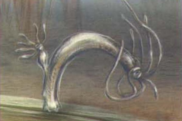 Кракен правильная