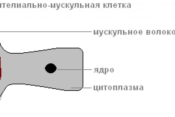 Кракен ссылка на тор официальная онион